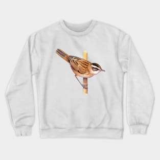 Moustached Warbler Crewneck Sweatshirt